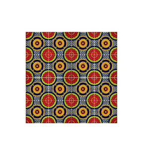 Talavera | 2x2 | Celosia | Gloss