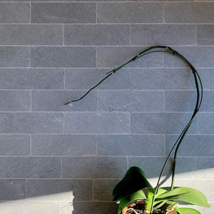 Bardiglio | Color: Grey | Material: Marble | Finish: Tumbled | Sold By: SQFT | Tile Size: 3"x9"x0.375" | Commercial: Yes | Residential: Yes | Floor Rated: Yes | Wet Areas: Yes | AJ-23-0809
