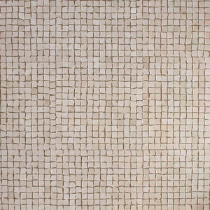 Dunya | 12x12 | COVE | Gloss