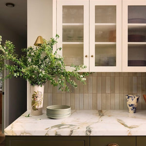 Tierra | 2x8 | Singe | Gloss