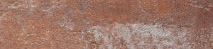 Atelier Brick | 2x10 | Old Red | Glazed