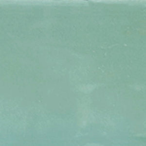 Caribbean | 2x6 | Moss Glossy | Glazed