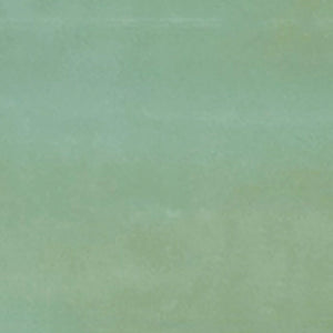 Caribbean | 2x6 | Moss Glossy | Glazed