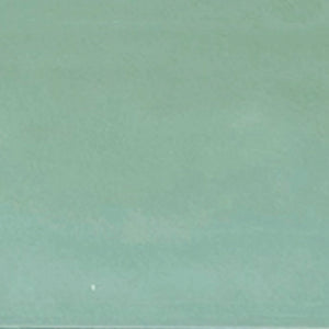 Caribbean | 2x6 | Moss Glossy | Glazed