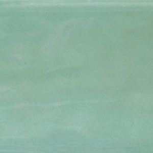 Caribbean | 2x6 | Moss Glossy | Glazed