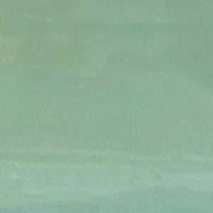 Caribbean | 2x6 | Moss Glossy | Glazed