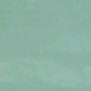 Caribbean | 2x6 | Moss Glossy | Glazed