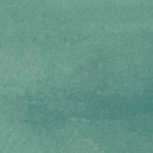 Caribbean | 2x6 | Moss Matte | Glazed