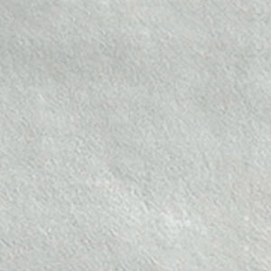 Caribbean | 2x6 | Silver Matte | Glazed