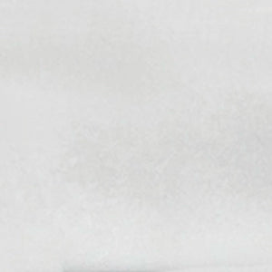 Caribbean | 2x6 | White Glossy | Glazed