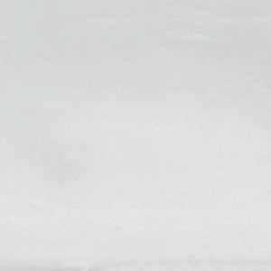 Caribbean | 2x6 | White Glossy | Glazed
