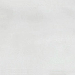 Caribbean | 2x6 | White Glossy | Glazed