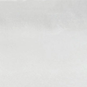 Caribbean | 2x6 | White Glossy | Glazed