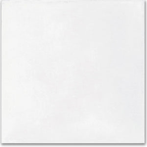 Carolina Clay | 16x16 | Whitehall Bian | Glazed