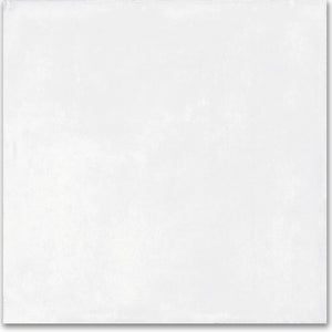 Carolina Clay | 40x40 | Whitehall Bian | Glazed
