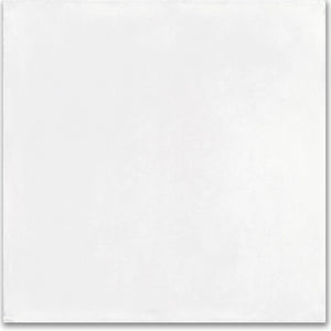 Carolina Clay | 40x40 | Whitehall Bian | Glazed