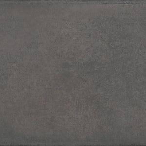 Carolina Clay | 8x16 | Palms Steel | Glazed