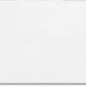 Carolina Clay | 8x16 | Whitehall Bian | Glazed