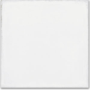 Carolina Clay | 8x8 | Whitehall Bian | Glazed