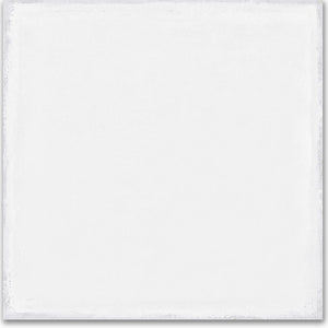 Carolina Clay | 8x8 | Whitehall Bian | Glazed
