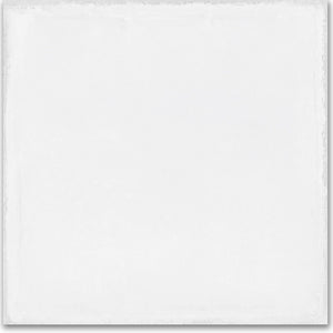 Carolina Clay | 8x8 | Whitehall Bian | Glazed
