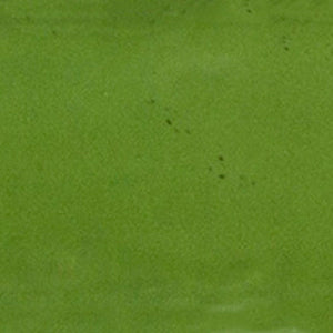 Espana | 2x6 | Olive | Glazed