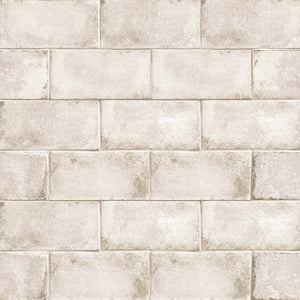 Encaustic | Color: White | Material: Porcelain | Finish: Gloss | Sold By: Case | Square Foot Per Case: 5.38 | Tile Size: 4"x9"x0.375" | Commercial: No | Residential: Yes | Floor Rated: Yes | Wet Areas: No | AJ-23-205