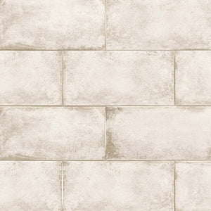 Encaustic | Color: White | Material: Porcelain | Finish: Matte | Sold By: Case | Square Foot Per Case: 10.87 | Tile Size: 9"x18"x0.375" | Commercial: Yes | Residential: Yes | Floor Rated: Yes | Wet Areas: No | AJ-23-205