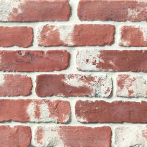 Cement | Color: Red Brick | Material: Cement | Finish: Matte | Sold By: Case | Square Foot Per Case: 11.07 | Tile Size: 2"x8"x0.5" | Commercial: Yes | Residential: Yes | Floor Rated: Yes | Wet Areas: Yes | AJ-23-205