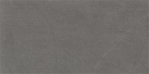 Arkistone | Color: Silver | Material: Porcelain | Finish: Matte | Sold By: Case | Square Foot Per Case: 13.56 | Tile Size: 12"x24"x0.375" | Commercial: Yes | Residential: Yes | Floor Rated: Yes | Wet Areas: Yes | AJ-23-1403