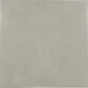 Provence | Color: Grey | Material: Ceramic | Finish: Glossy | Sold By: Case | Square Foot Per Case: 10.76 | Tile Size: 5"x5"x0.375" | Commercial: No | Residential: Yes | Floor Rated: No | Wet Areas: Yes | AJ-23-1920
