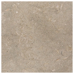 AJ-23-0809 | Pistache (Seagrass) | Brown Green | 12x12  | Color: Brown Green | Material: Limestone | Finish: Honed | Sold By: SQFT | Tile Size: 12"x12"x0.375" | Commercial: Yes | Residential: Yes | Floor Rated: Yes | Wet Areas: Yes