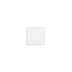 Classic White | Bullnose | Color: Ice White | Material: Ceramic | Finish: Gloss | Sold By: Piece | Tile Size: 2"x2"x0.25" | Commercial: Yes | Residential: Yes | Floor Rated: No | Wet Areas: Yes | AJ-23-205