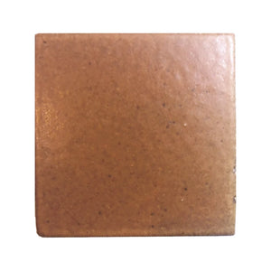 Cotto | Stix Bar Liner | Color: Orange | Material: Porcelain | Finish: Matte | Sold By: Piece | Tile Size: 0.375"x6"x0.25" | Commercial: Yes | Residential: Yes | Floor Rated: Yes | Wet Areas: Yes | AJ-23-1301